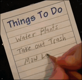 dog things to do list